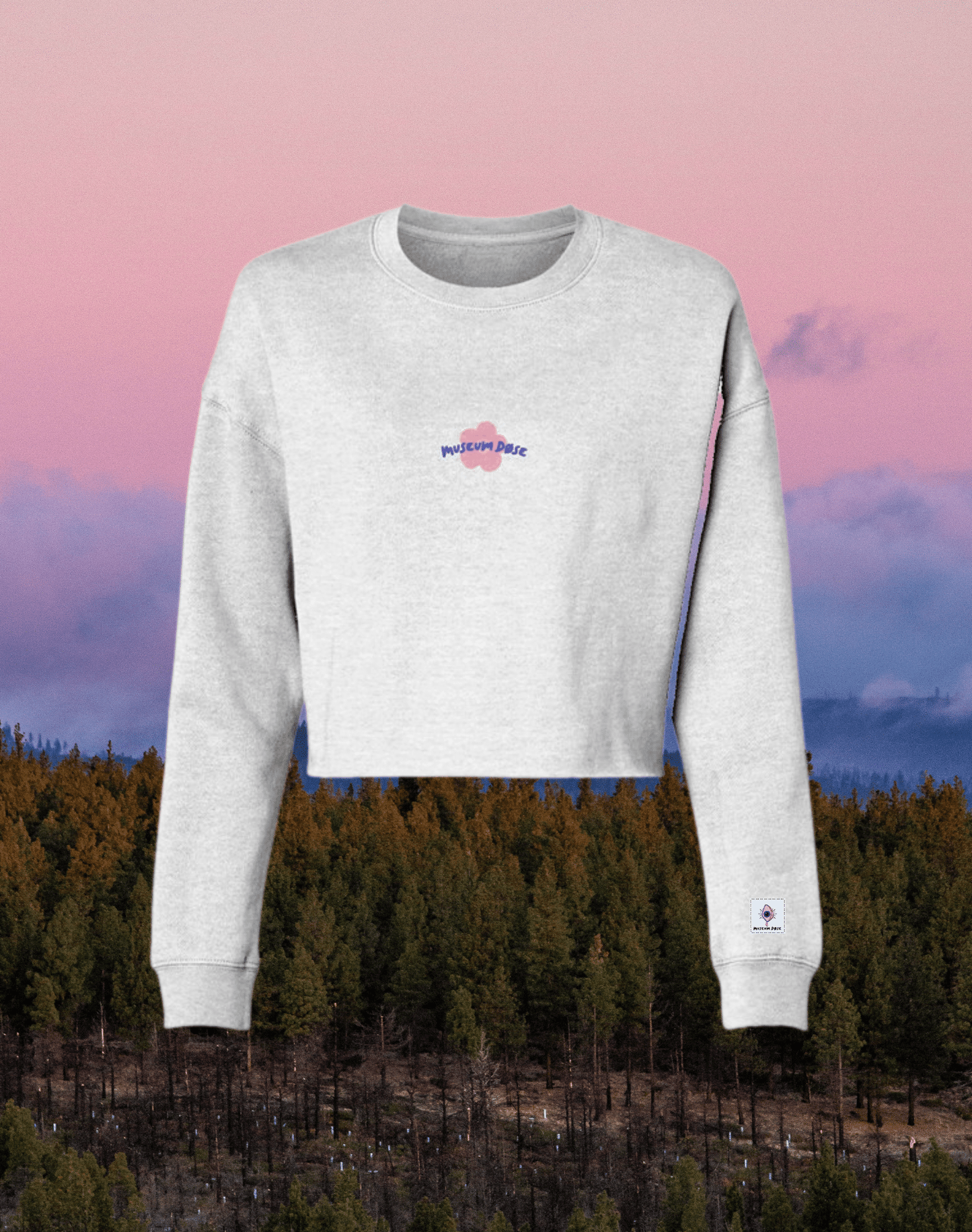 Retro Logo Cropped Crewneck